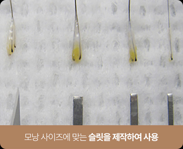 모낭 사이즈에 맞는 슬릿을 제작하여 사용